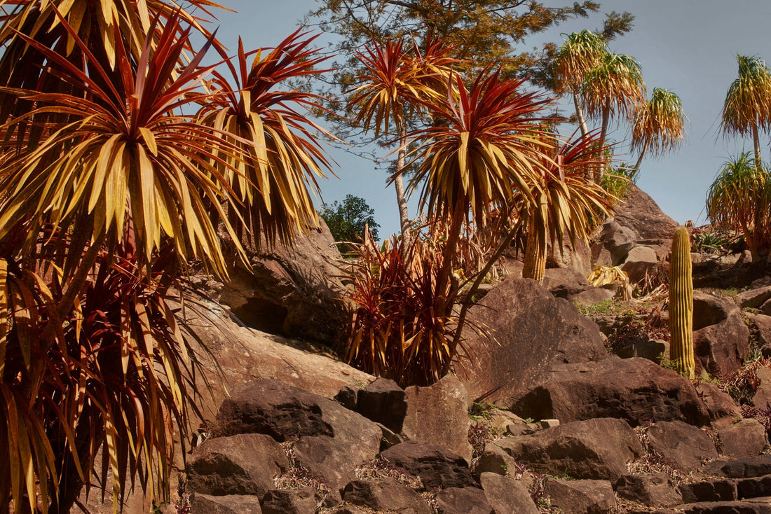 ヘアケアは「ノンシリコン」から「リンス剤不使用」の時代へ