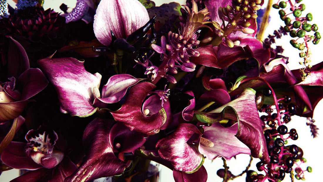 アルガンオイル20ml以上配合のトリートメント