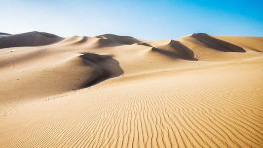 デューイエリクシアオイルについて